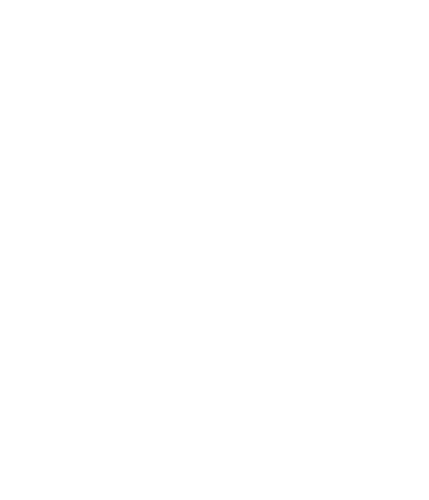 logo2